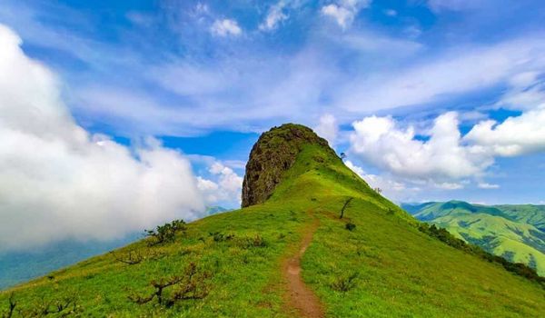 Web Designer in Chikkamagalur